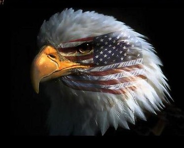 http://www.nyazmarket.com/images/mostanad/American-eagle/American-eagle1.jpg