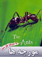 مستند مورچه ها Ants (دوبله فارسی)  