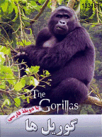 مستند گوریل ها - Gorilla (دوبله فارسی)
