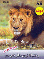مستند وحشيانه ترين شکارهای شير - Lions Behaving Badly (دوبله فارسی)