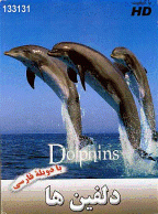 مستند دلفین ها - Dolphins (دوبله فارسی)