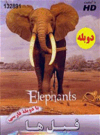 مستند فیل ها - Elephant (دوبله فارسی)