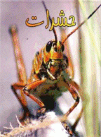 مستند حشرات (دوبله فارسی)